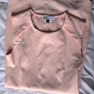 Pink Shona Joy Bodycon Dress with Sleeve Accent